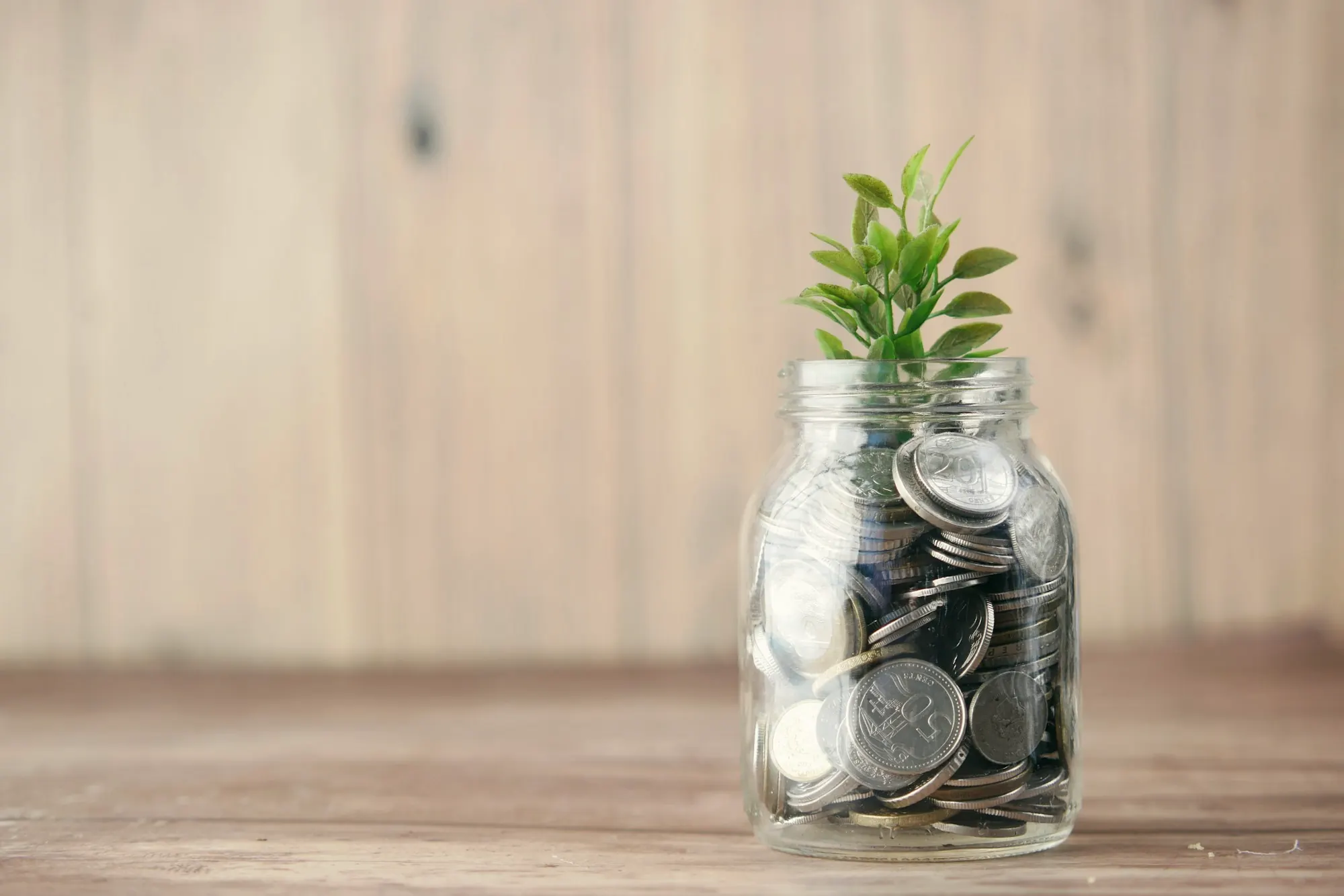 A glass jar of coins with a small plant growing from it